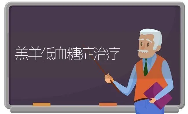 羔羊低血糖症治疗 | 家畜养殖