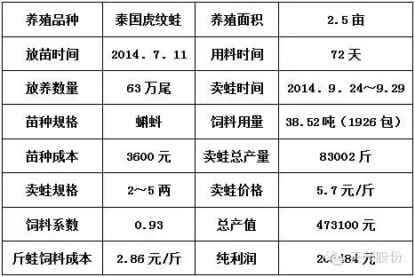 使用天邦全熟化蛙料牛蛙亩产突破41000斤纯利润20万