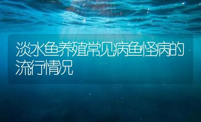 淡水鱼养殖常见病鱼怪病的流行情况 | 养殖病虫害防治