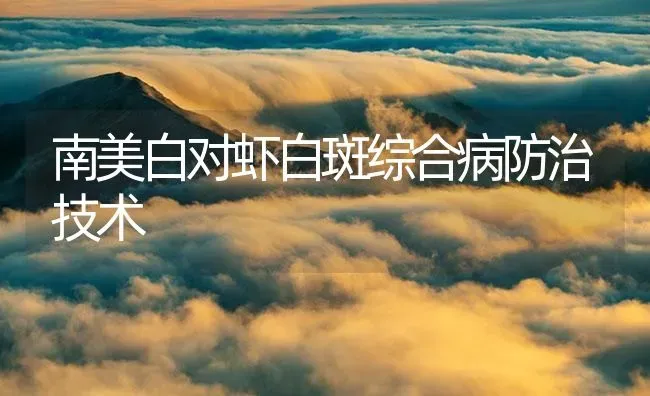 南美白对虾白斑综合病防治技术 | 海水养殖