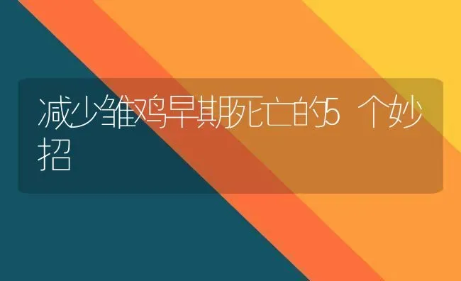 减少雏鸡早期死亡的5个妙招 | 家禽养殖