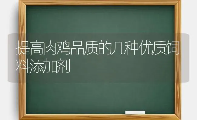 提高肉鸡品质的几种优质饲料添加剂 | 家禽养殖