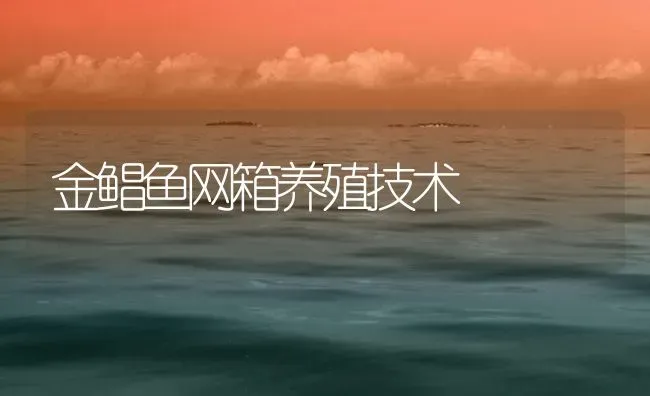 金鲳鱼网箱养殖技术 | 海水养殖