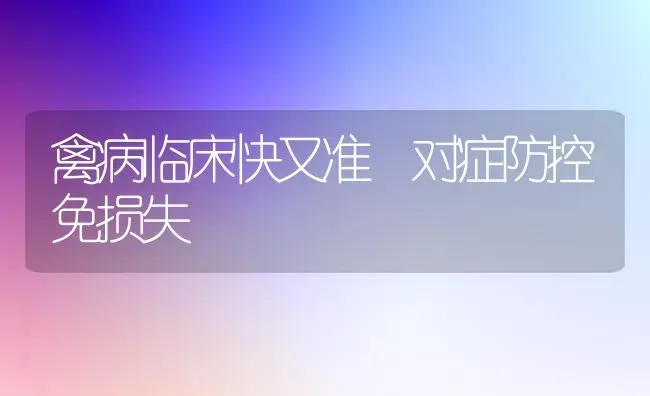 禽病临床快又准 对症防控免损失 | 家禽养殖