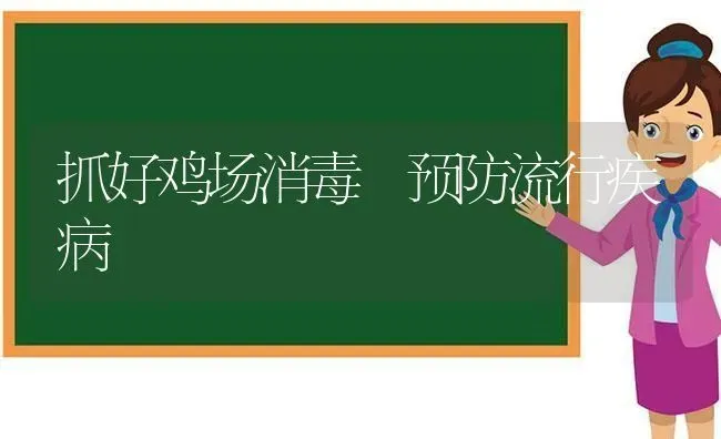 抓好鸡场消毒 预防流行疾病 | 家禽养殖