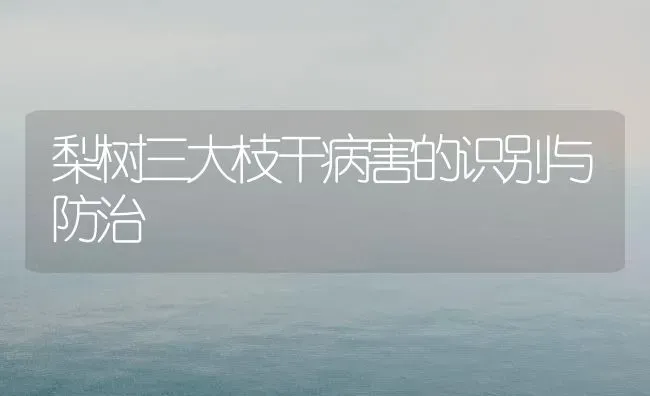 母猪临产时饲养管理抓重点 | 家畜养殖