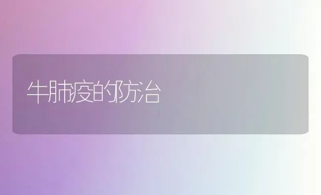 鸭梨膨大期如何做好肥水管理 | 家禽养殖