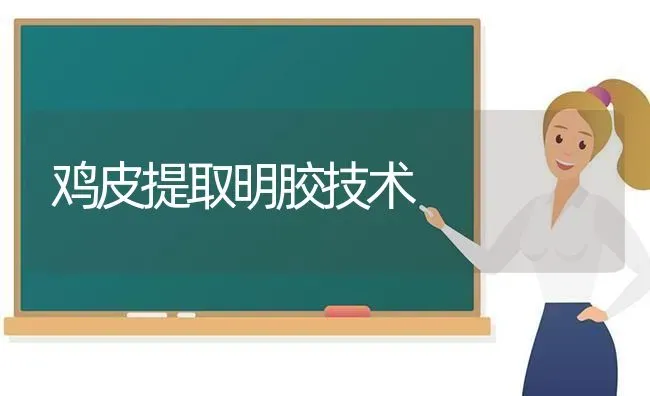 鸡皮提取明胶技术 | 家禽养殖