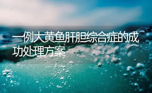 一例大黄鱼肝胆综合症的成功处理方案 | 海水养殖