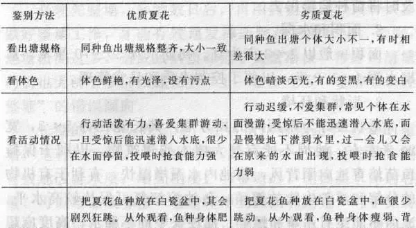 如何分辨草鱼苗与草鱼鱼种的质量？