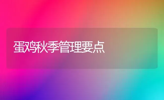 蛋鸡秋季管理要点 | 家禽养殖