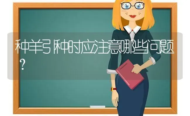 种羊引种时应注意哪些问题？ | 家畜养殖