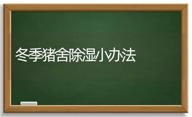 冬季猪舍除湿小办法 | 家畜养殖