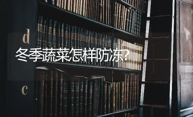 猪饲料配比须注意 | 家畜养殖