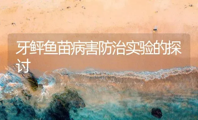 牙鲆鱼苗病害防治实验的探讨 | 养殖病虫害防治