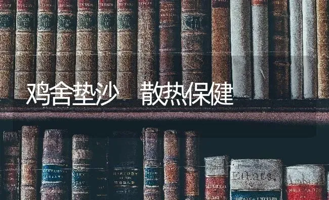 鸡舍垫沙 散热保健 | 家禽养殖