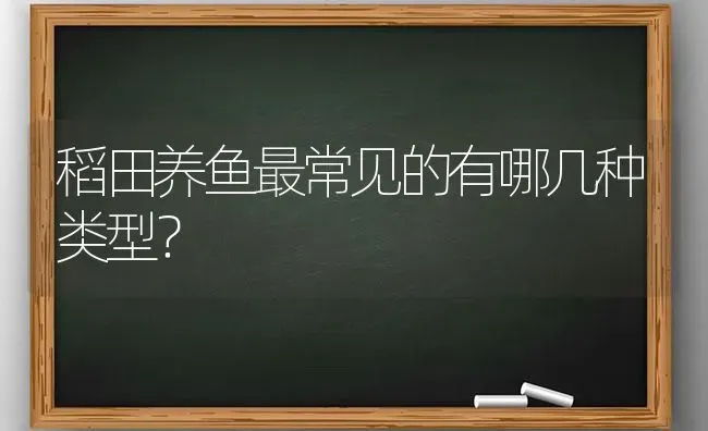 稻田养鱼最常见的有哪几种类型？ | 动物养殖百科