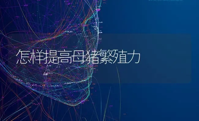 怎样提高母猪繁殖力 | 家畜养殖