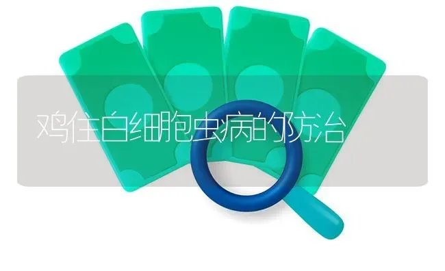 鸡住白细胞虫病的防治 | 家禽养殖