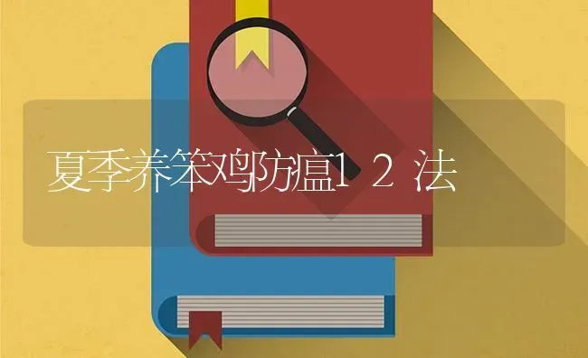 夏季养笨鸡防瘟12法 | 家禽养殖