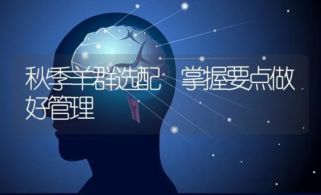 秋季羊群选配 掌握要点做好管理 | 家畜养殖