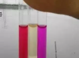 3202+3213组合改底降亚硝酸盐促进鱼儿吃食