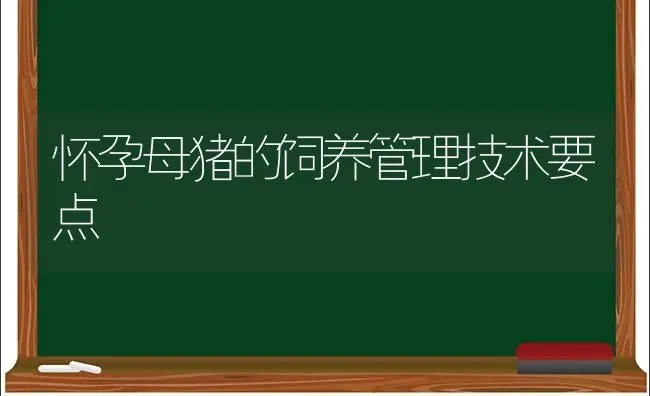 怀孕母猪的饲养管理技术要点 | 家畜养殖