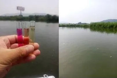 浅谈池塘养殖水质三大指标：氨氮亚硝酸盐pH