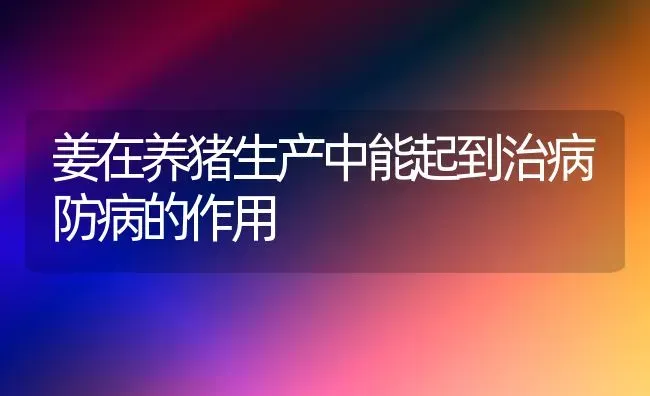 姜在养猪生产中能起到治病防病的作用 | 家畜养殖