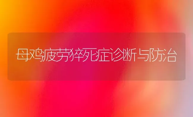 母鸡疲劳猝死症诊断与防治 | 家禽养殖
