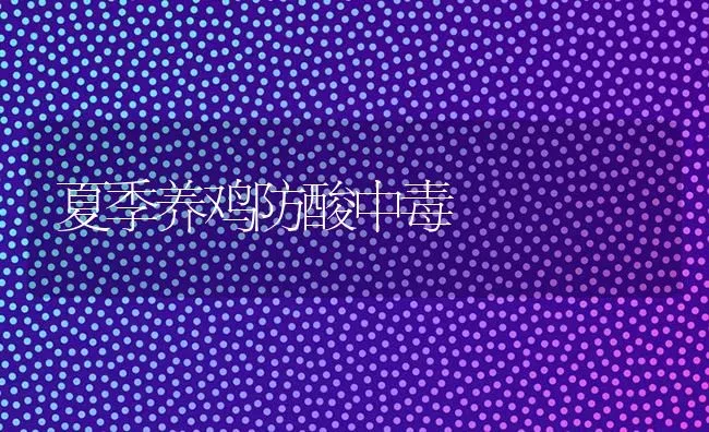 夏季养鸡防酸中毒 | 家禽养殖