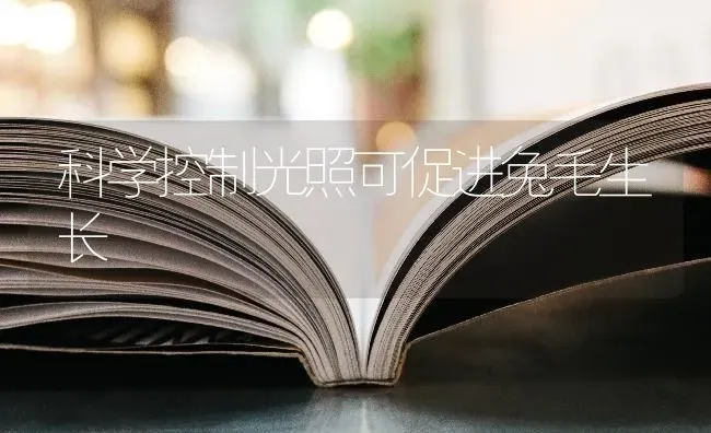 科学控制光照可促进兔毛生长 | 家畜养殖