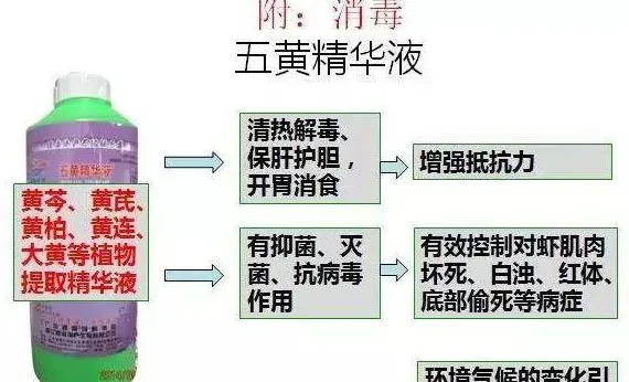 高温季度南美白对虾塘水质处理主线技术方案