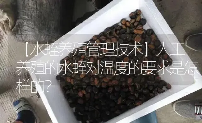 【水蛭养殖管理技术】人工养殖的水蛭对温度的要求是怎样的？ | 特种养殖