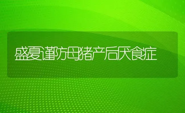 盛夏谨防母猪产后厌食症 | 家畜养殖