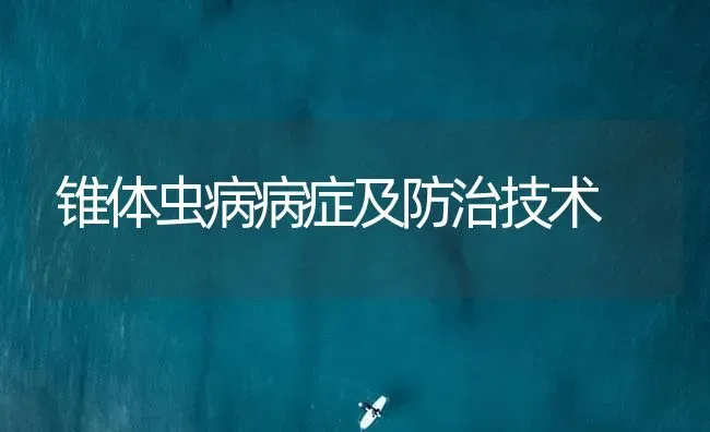 锥体虫病病症及防治技术 | 养殖病虫害防治