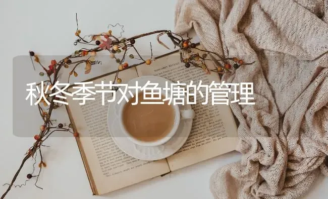 秋冬季节对鱼塘的管理 | 淡水养殖
