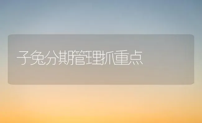 子兔分期管理抓重点 | 家畜养殖