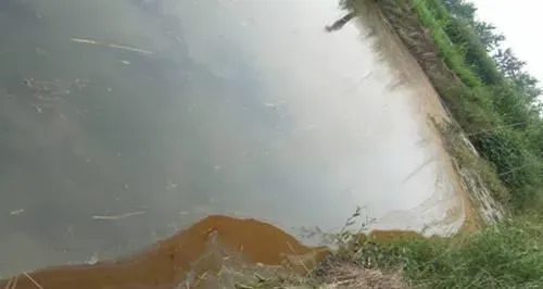 华中地区池塘里常见八种不良水质的处理方法