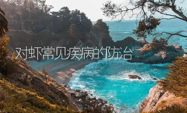 对虾常见疾病的防治 | 海水养殖