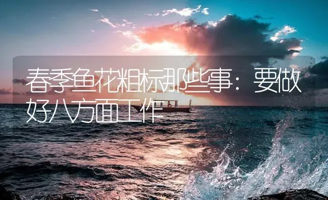 春季鱼花粗标那些事：要做好八方面工作 | 淡水养殖