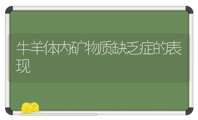 牛羊体内矿物质缺乏症的表现 | 家畜养殖