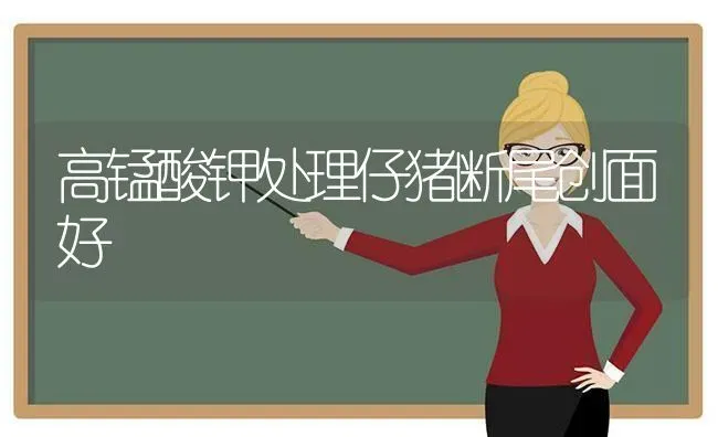 高锰酸钾处理仔猪断尾创面好 | 家畜养殖