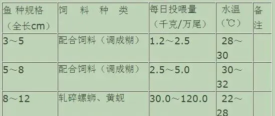 青鱼池塘无公害养殖的苗种培育技术