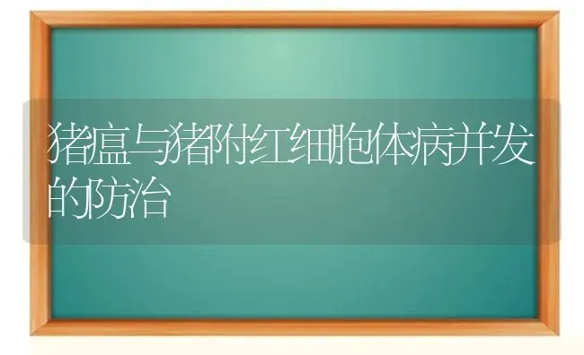 猪瘟与猪附红细胞体病并发的防治 | 家畜养殖