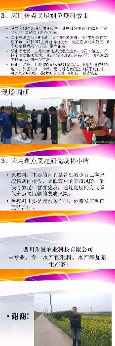 斑点叉尾鮰“春季爆发性死亡疾病”应对措施