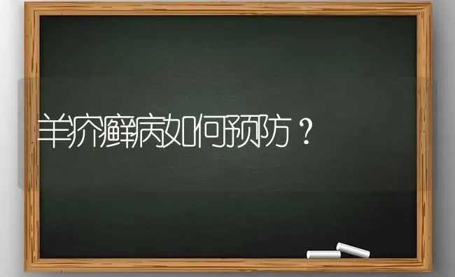 羊疥癣病如何预防？ | 家畜养殖