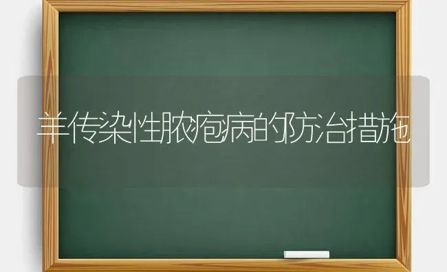 羊传染性脓疱病的防治措施 | 家畜养殖