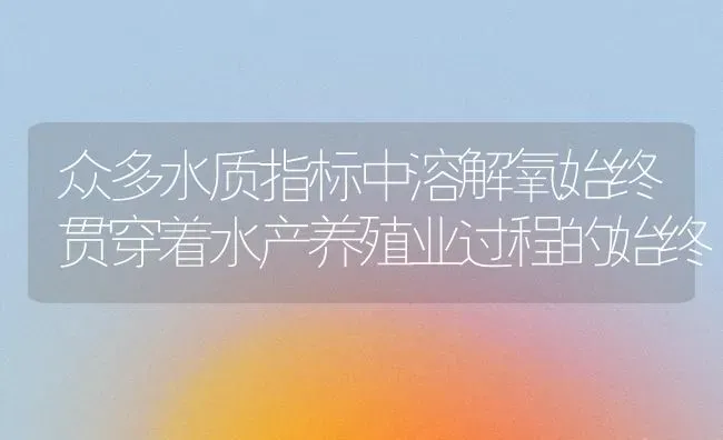 众多水质指标中溶解氧始终贯穿着水产养殖业过程的始终 | 动物养殖百科