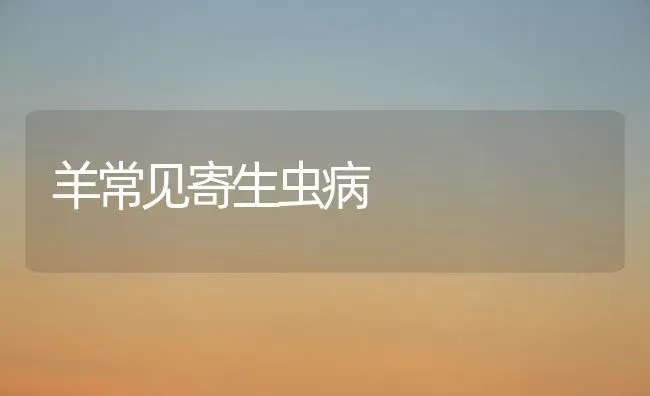 羊常见寄生虫病 | 家畜养殖
